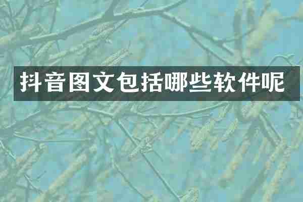 抖音图文包括哪些软件呢