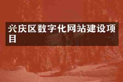 兴庆区数字化网站建设项目