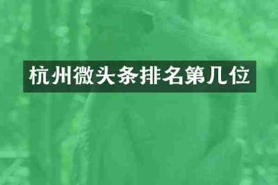 杭州微头条排名第几位