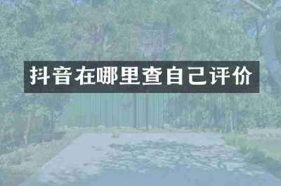 抖音在哪里查自己评价