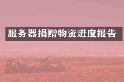 服务器捐赠物资进度报告
