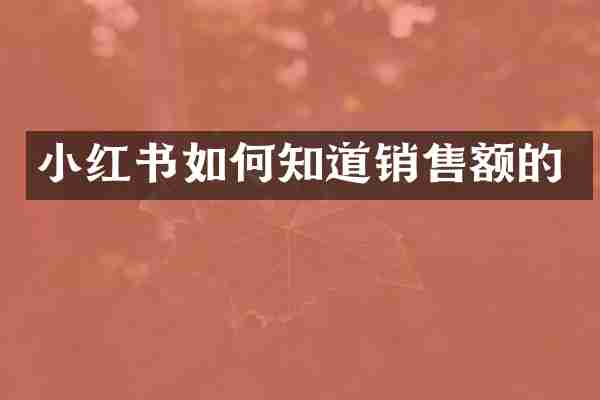 小红书如何知道销售额的
