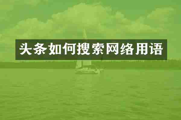 头条如何搜索网络用语