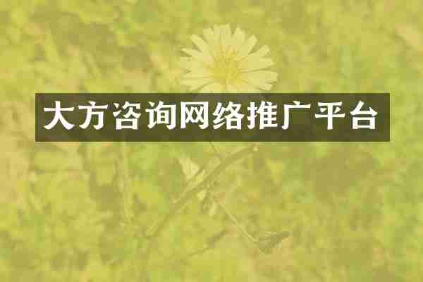 大方咨询网络推广平台