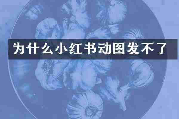 为什么小红书动图发不了