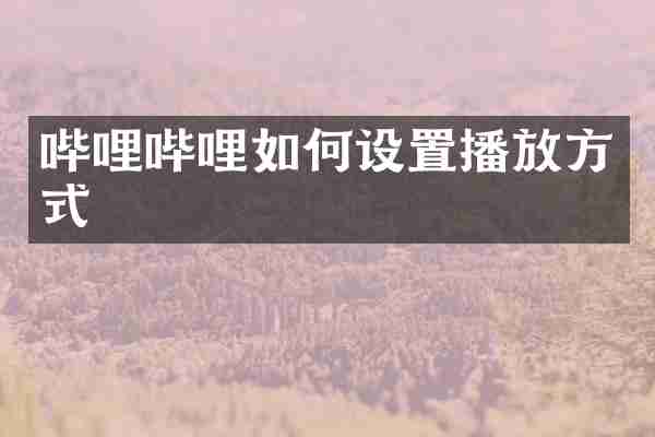 哔哩哔哩如何设置播放方式