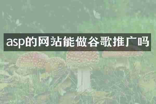 asp的网站能做谷歌推广吗