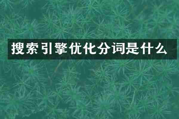 搜索引擎优化分词是什么