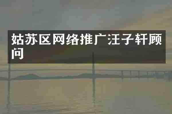 姑苏区网络推广汪子轩顾问