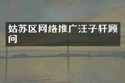 姑苏区网络推广汪子轩顾问
