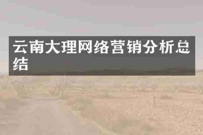 云南大理网络营销分析总结