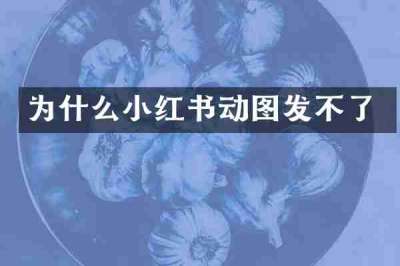 为什么小红书动图发不了