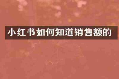小红书如何知道销售额的