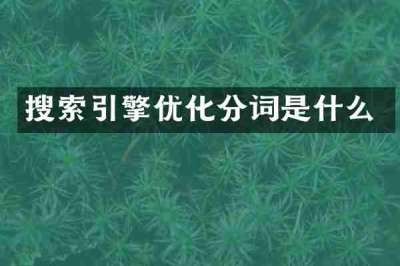 搜索引擎优化分词是什么