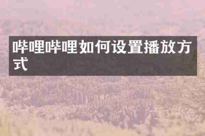 哔哩哔哩如何设置播放方式