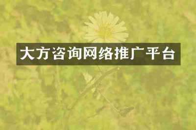 大方咨询网络推广平台