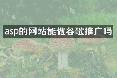 asp的网站能做谷歌推广吗