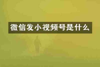 微信发小视频号是什么