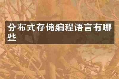 分布式存储编程语言有哪些