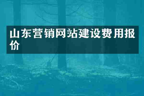 山东营销网站建设费用报价