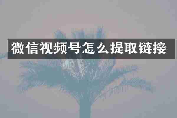 微信视频号怎么提取链接