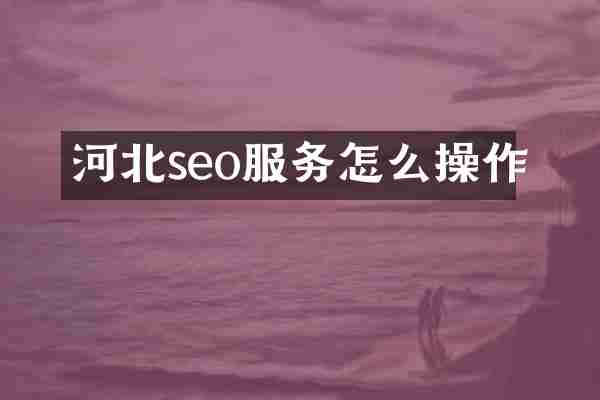 河北seo服务怎么操作