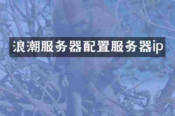 浪潮服务器配置服务器ip