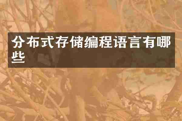 分布式存储编程语言有哪些