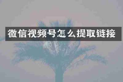 微信视频号怎么提取链接