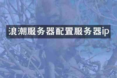 浪潮服务器配置服务器ip