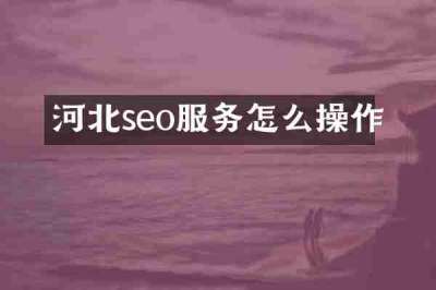 河北seo服务怎么操作