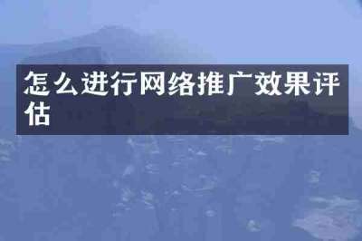 怎么进行网络推广效果评估