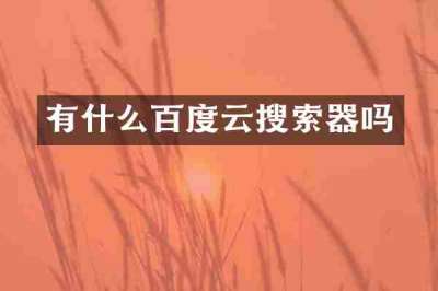 有什么百度云搜索器吗
