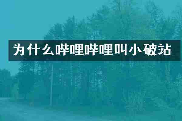为什么哔哩哔哩叫小破站
