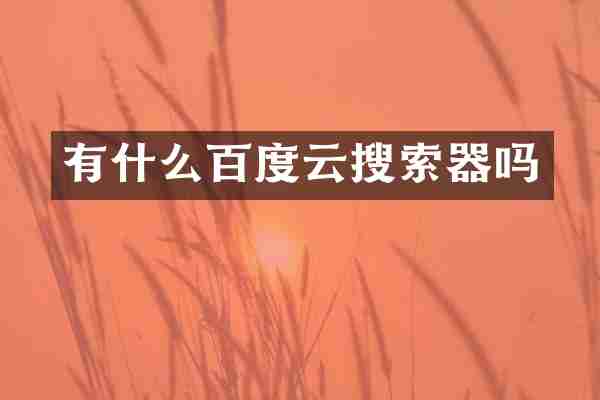 有什么百度云搜索器吗