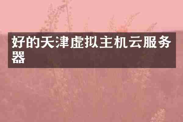 好的天津虚拟主机云服务器