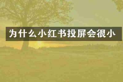 为什么小红书投屏会很小