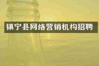 镇宁县网络营销机构招聘