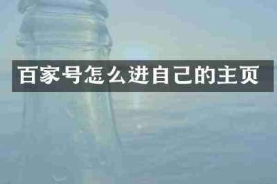 百家号怎么进自己的主页