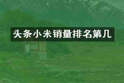 头条小米销量排名第几