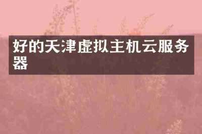 好的天津虚拟主机云服务器