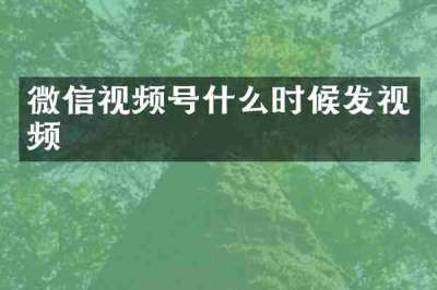 微信视频号什么时候发视频