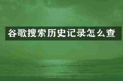 谷歌搜索历史记录怎么查