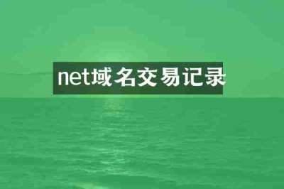 net域名交易记录