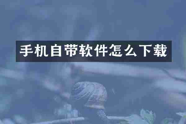 手机自带软件怎么下载