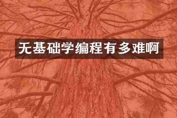 无基础学编程有多难啊