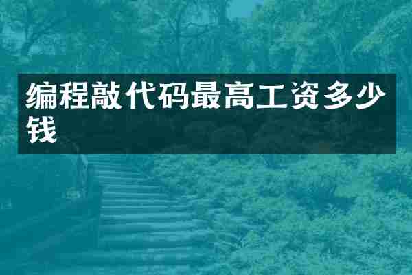 编程敲代码最高工资多少钱