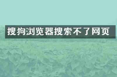 搜狗浏览器搜索不了网页
