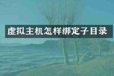 虚拟主机怎样绑定子目录