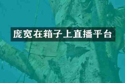 庞宽在箱子上直播平台